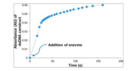 Analyzing Exonuclease